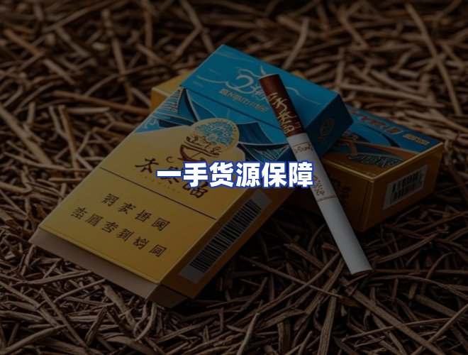 专业团队